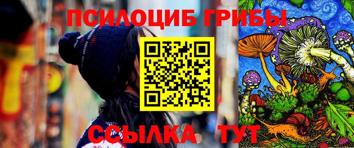 Галлюциногенные грибы мухоморы Владивосток